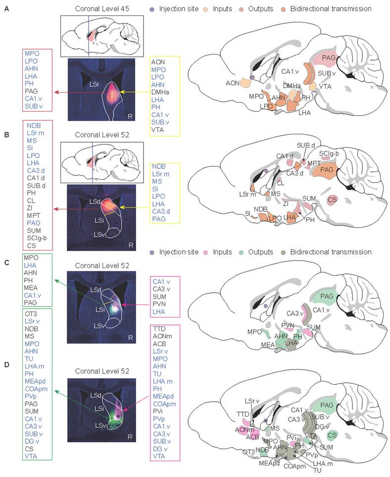 Int J Biol Sci Image
