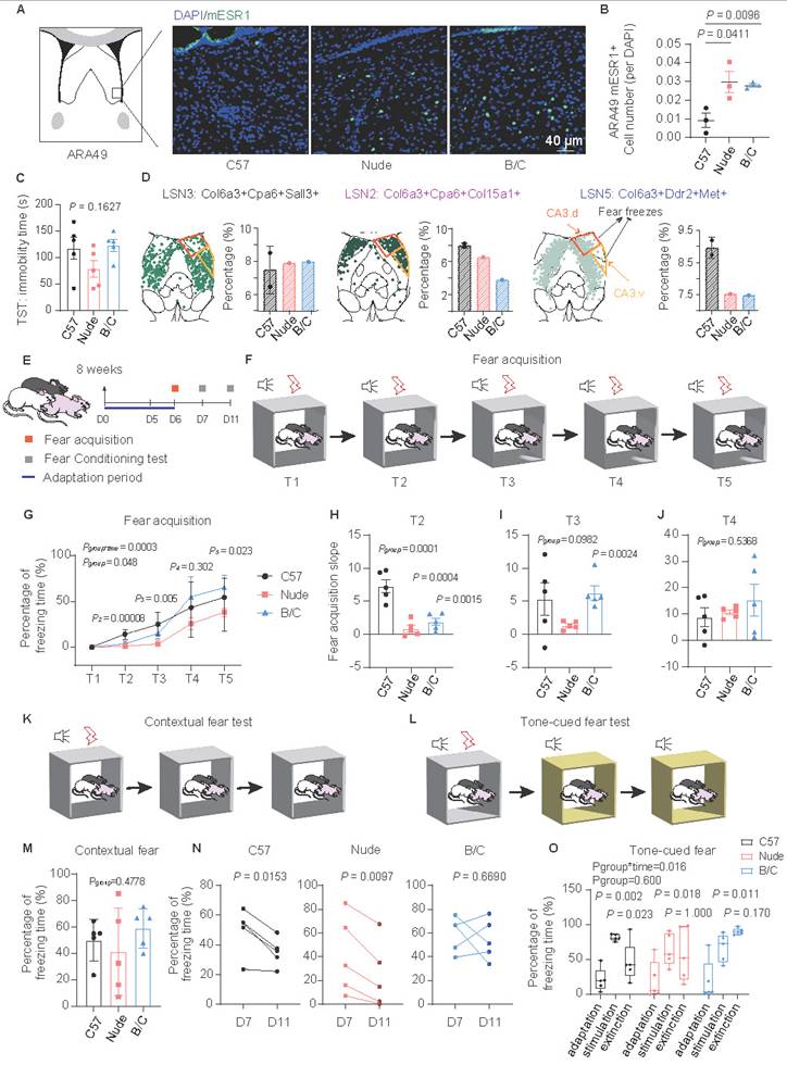 Int J Biol Sci Image