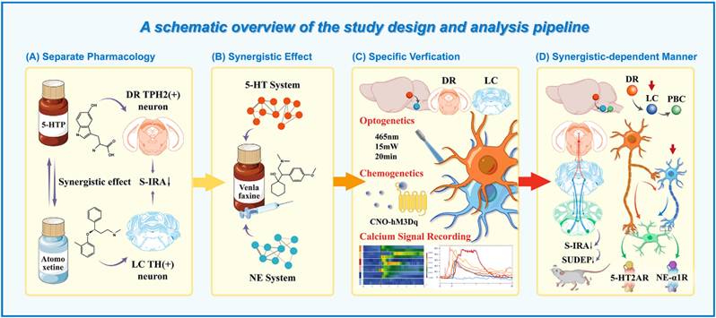 Int J Biol Sci Image