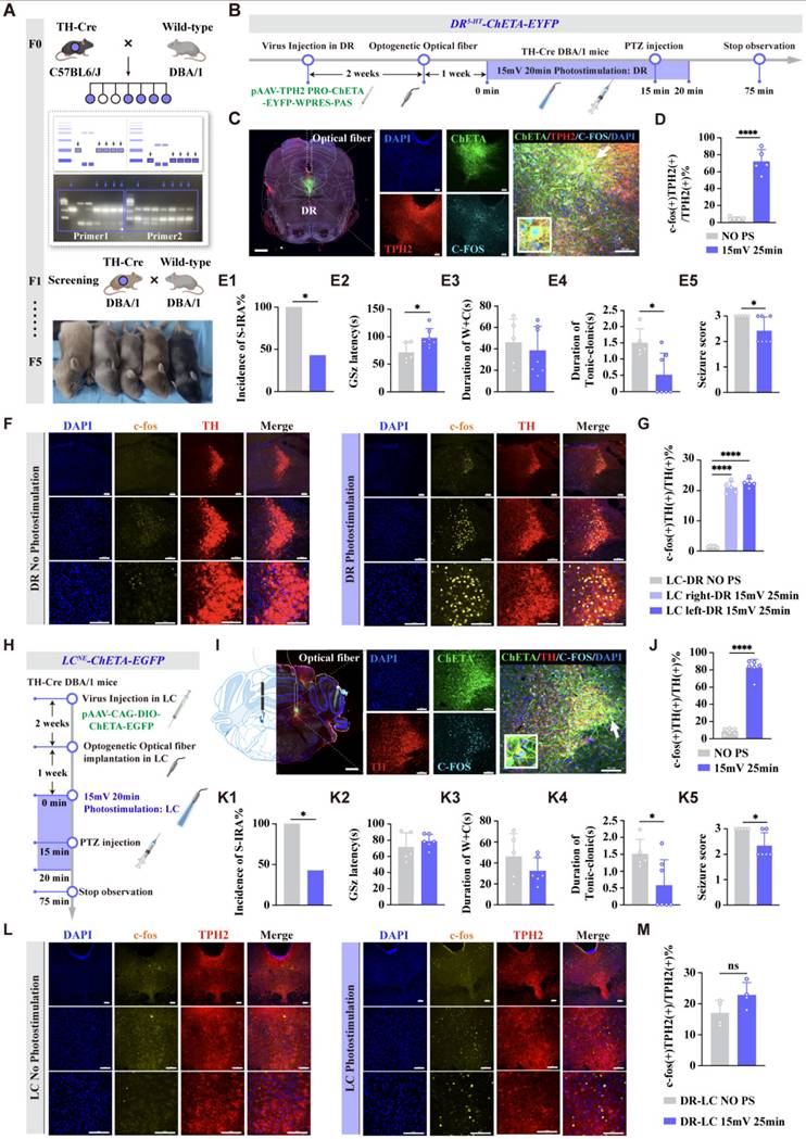 Int J Biol Sci Image
