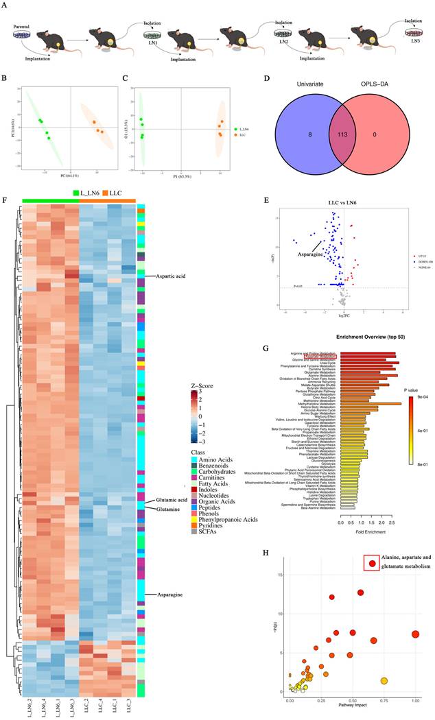 Int J Biol Sci Image