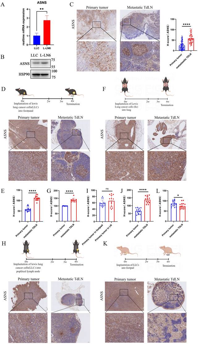 Int J Biol Sci Image