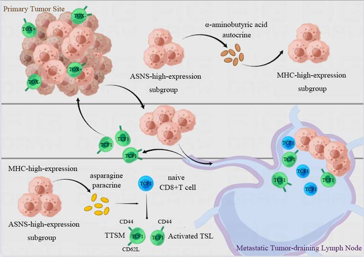 Int J Biol Sci Image