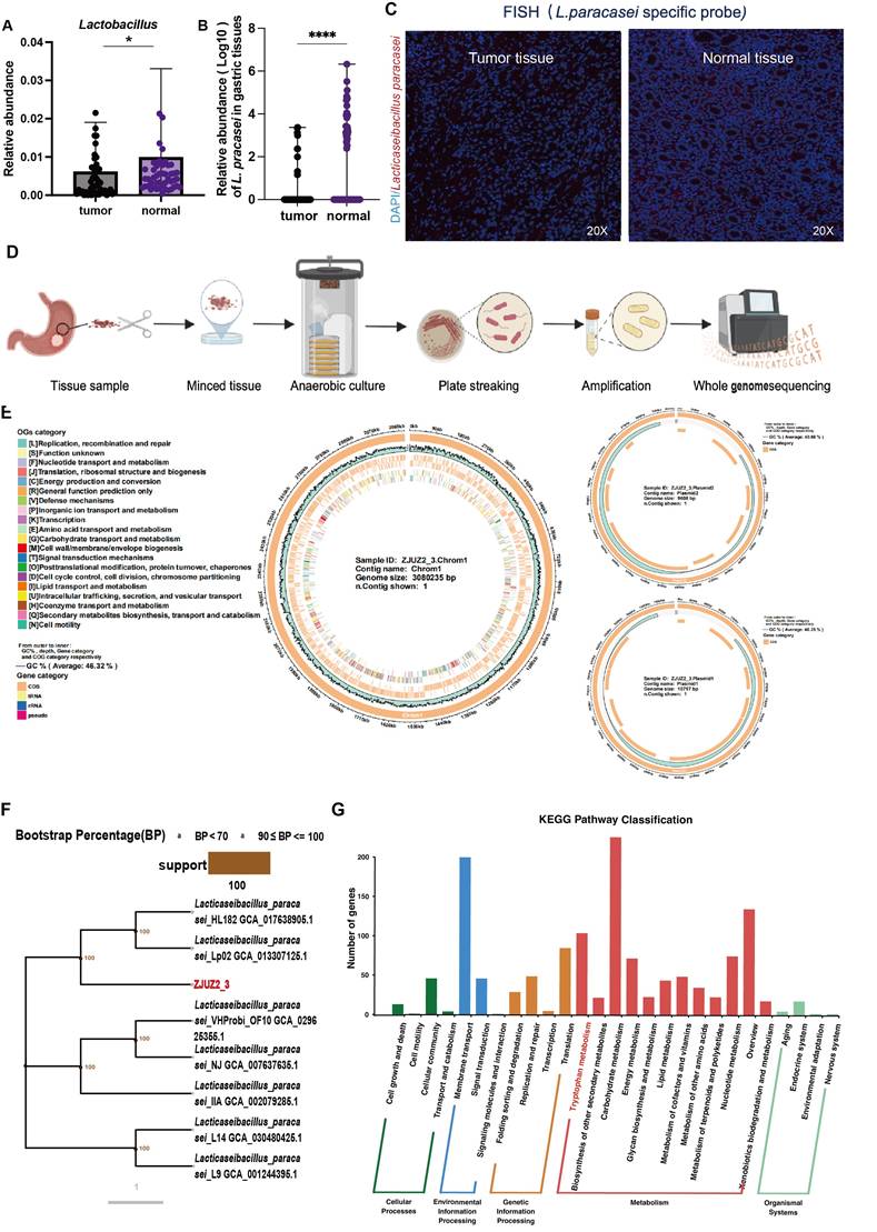 Int J Biol Sci Image