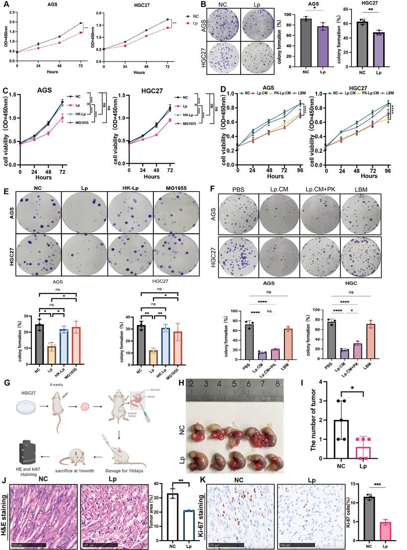 Int J Biol Sci Image