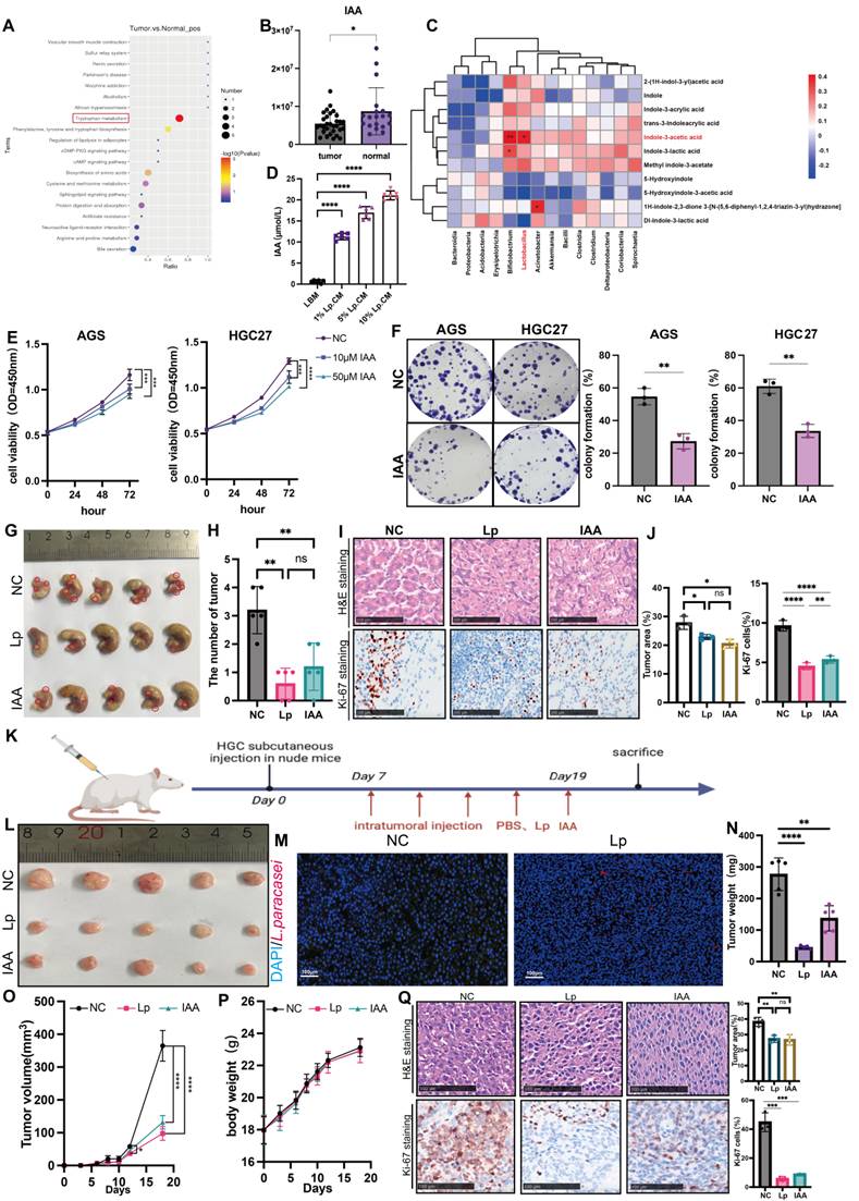 Int J Biol Sci Image
