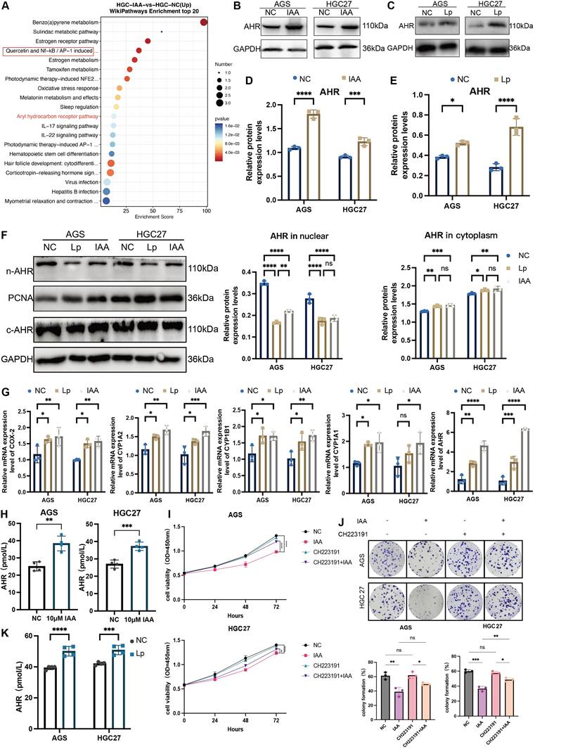 Int J Biol Sci Image