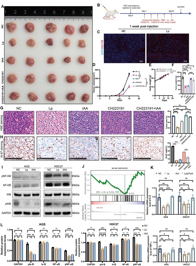 Int J Biol Sci Image