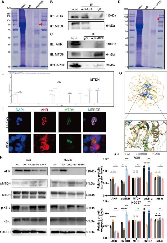 Int J Biol Sci Image
