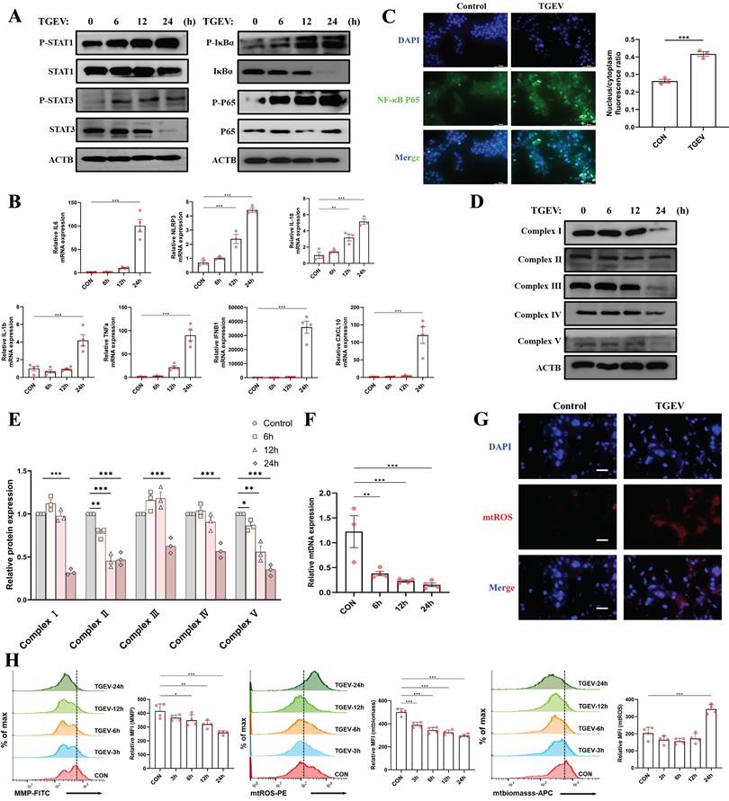 Int J Biol Sci Image
