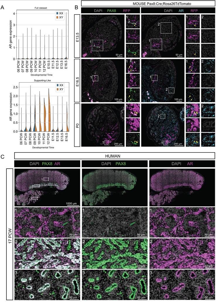 Int J Biol Sci Image