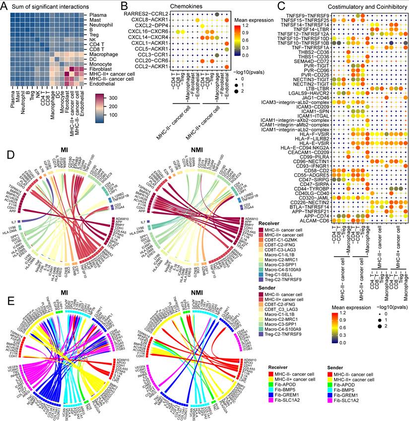 Int J Biol Sci Image