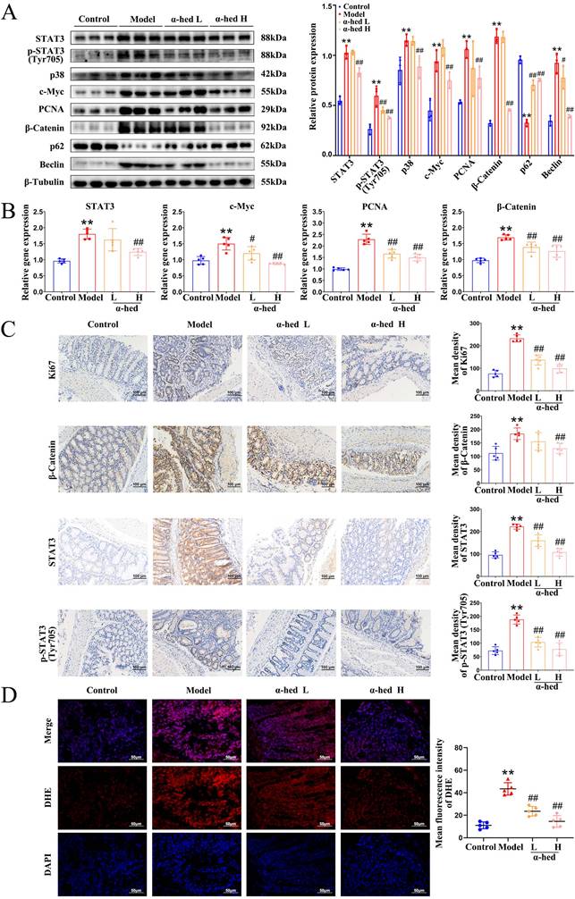 Int J Biol Sci Image