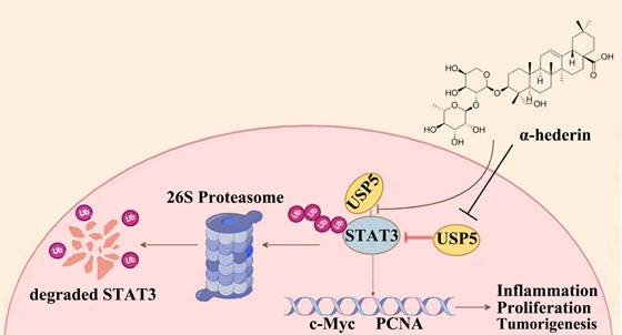 Int J Biol Sci Image