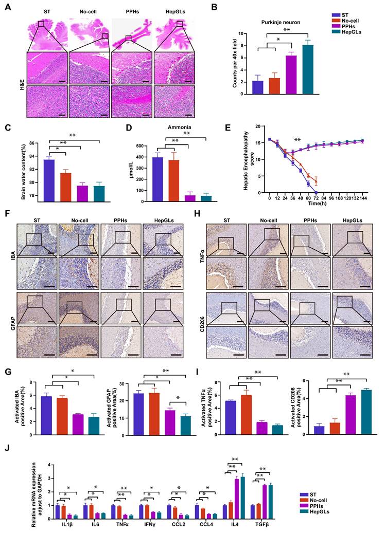 Int J Biol Sci Image