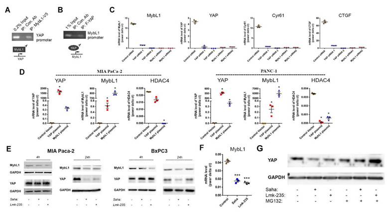 Int J Biol Sci Image