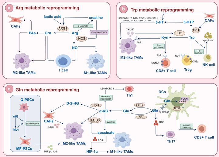 Int J Biol Sci Image