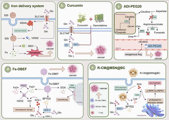 Int J Biol Sci Image