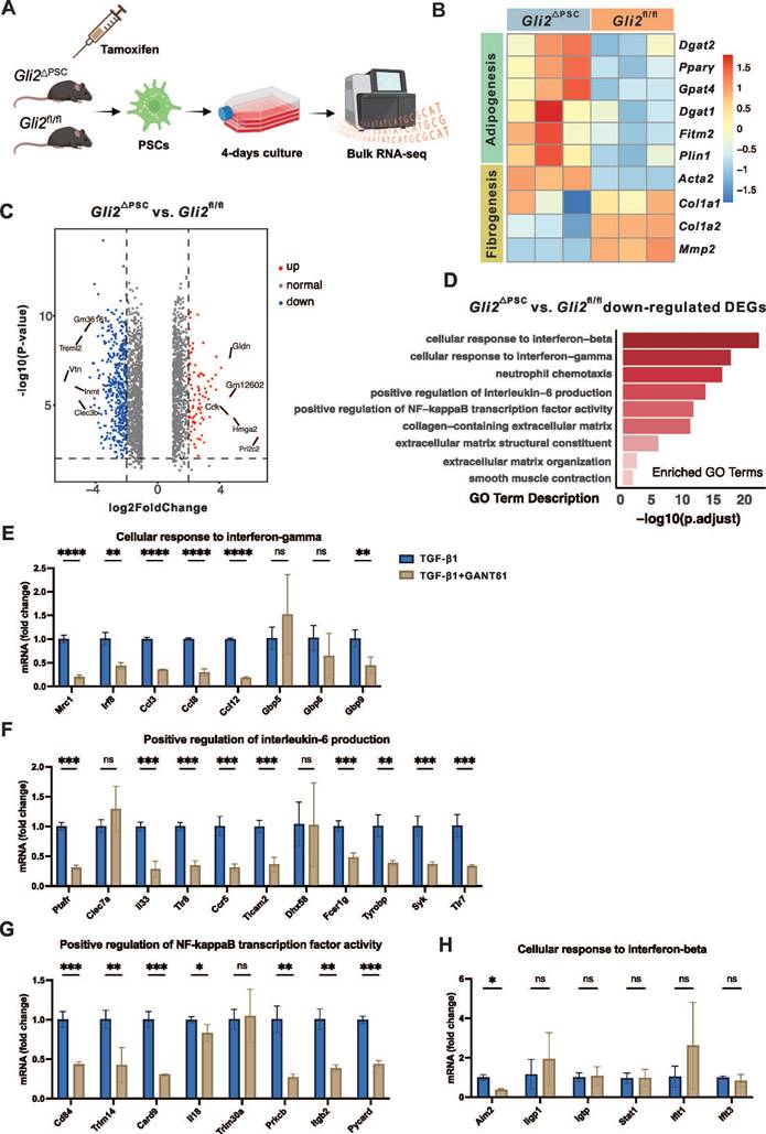 Int J Biol Sci Image