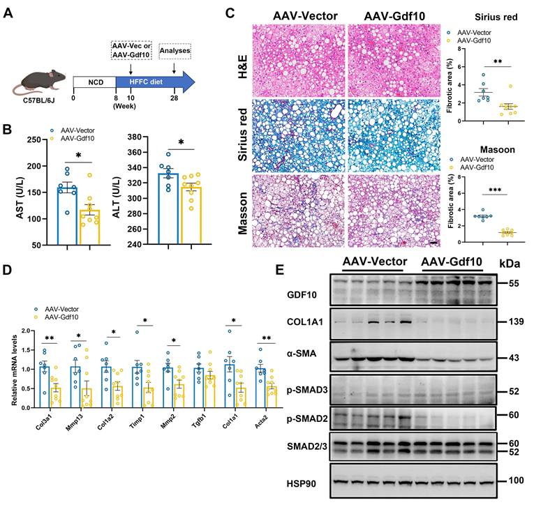 Int J Biol Sci Image