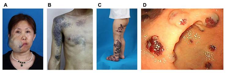 Int J Biol Sci Image