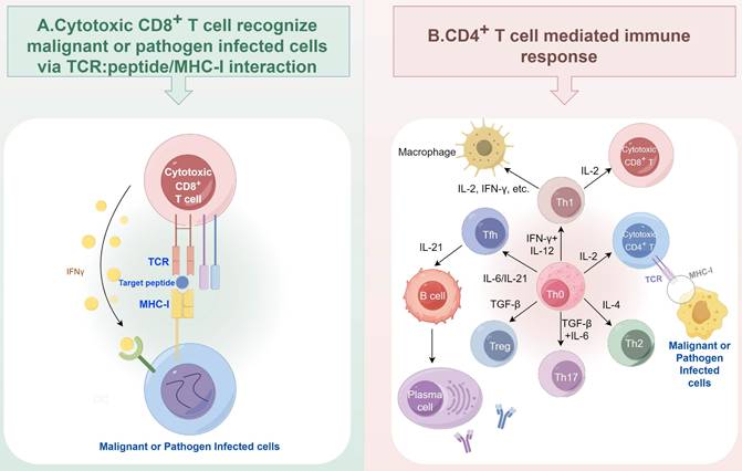 Int J Biol Sci Image