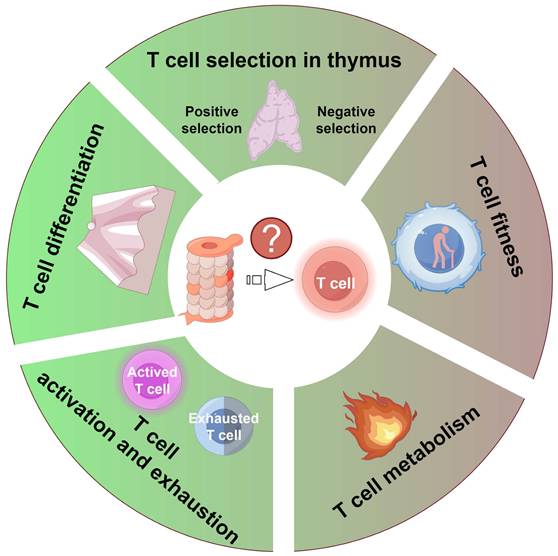 Int J Biol Sci Image