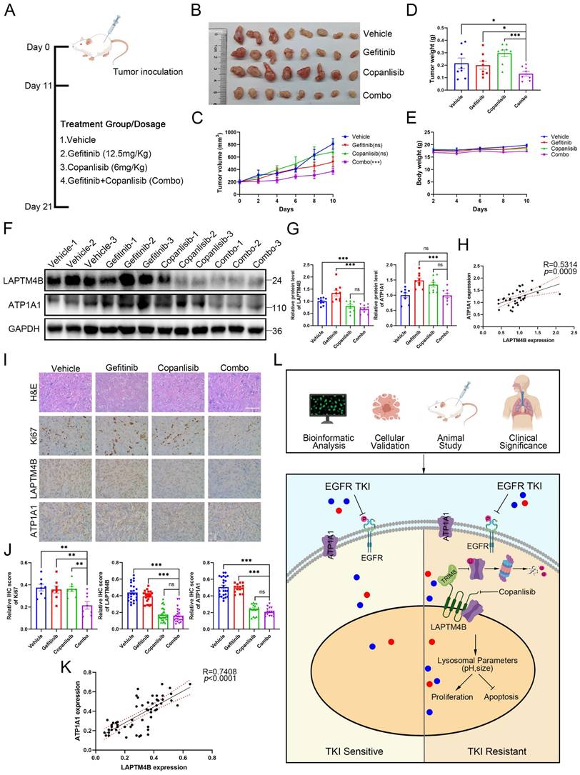 Int J Biol Sci Image