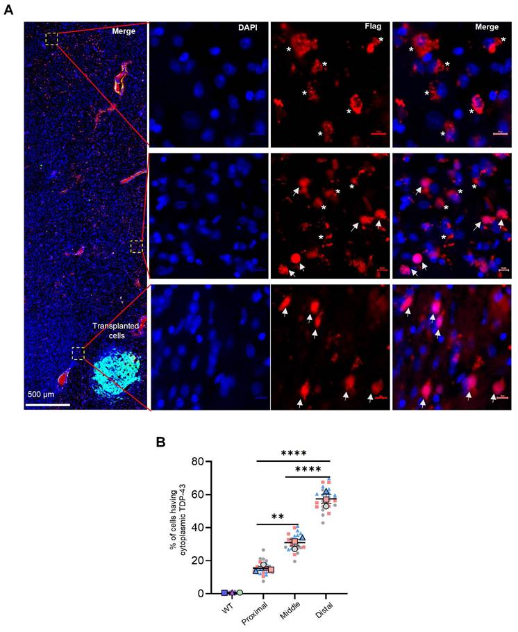 Int J Biol Sci Image