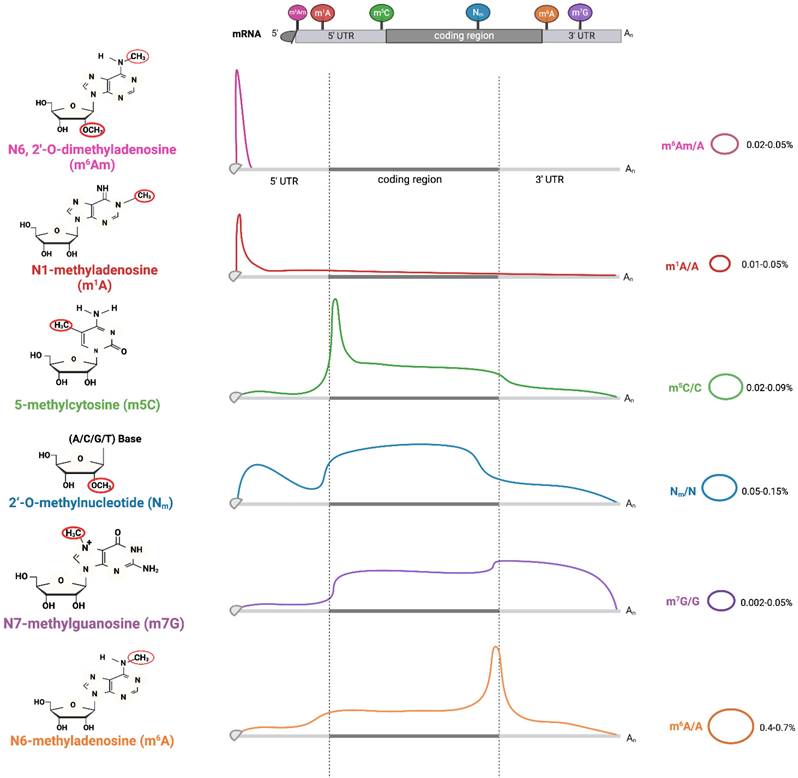 Int J Biol Sci Image
