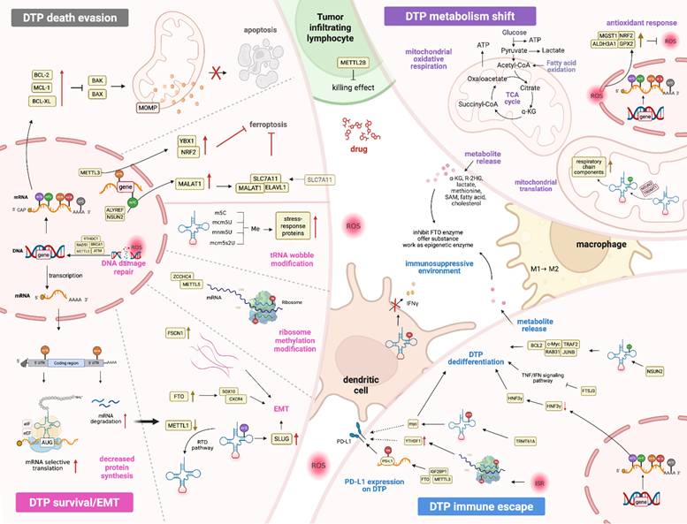 Int J Biol Sci Image