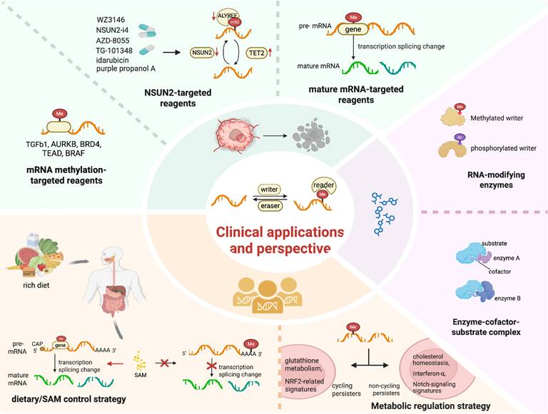 Int J Biol Sci Image