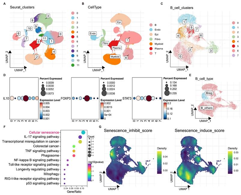 Int J Biol Sci Image