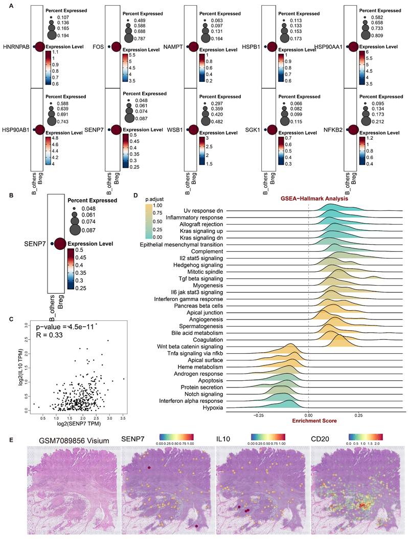 Int J Biol Sci Image