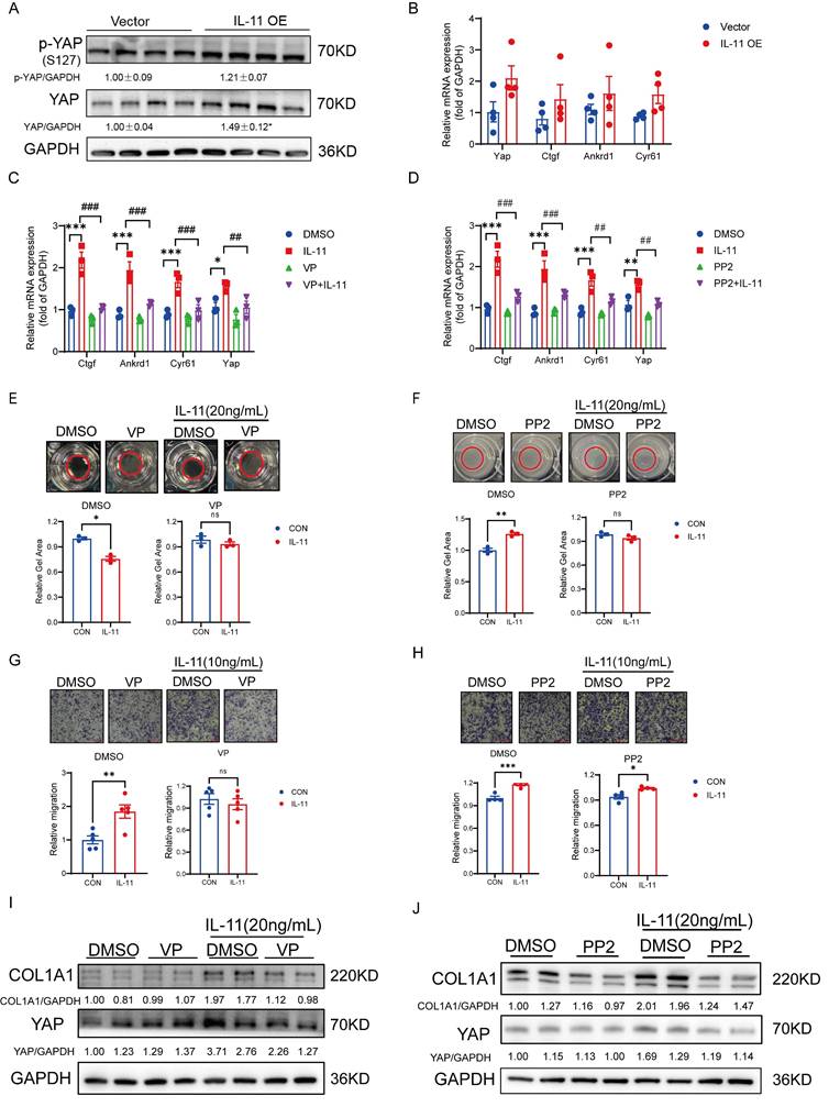 Int J Biol Sci Image