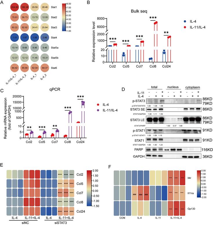 Int J Biol Sci Image