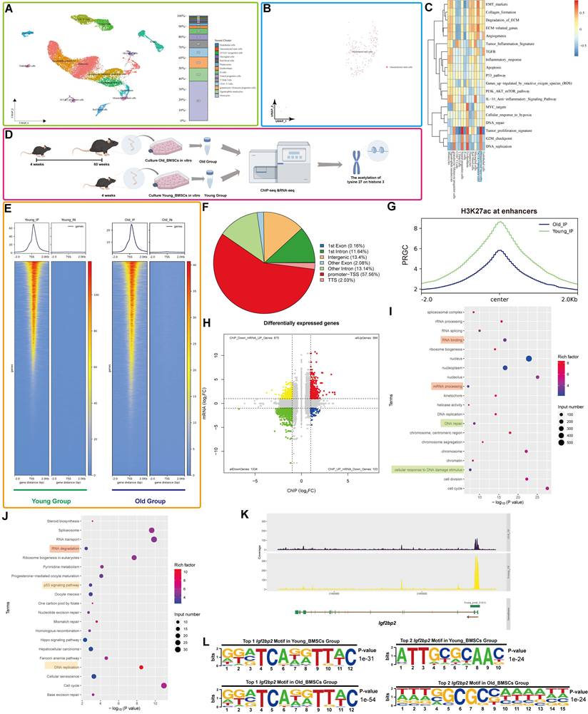 Int J Biol Sci Image