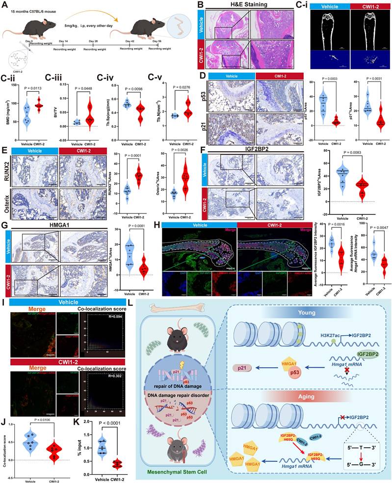 Int J Biol Sci Image