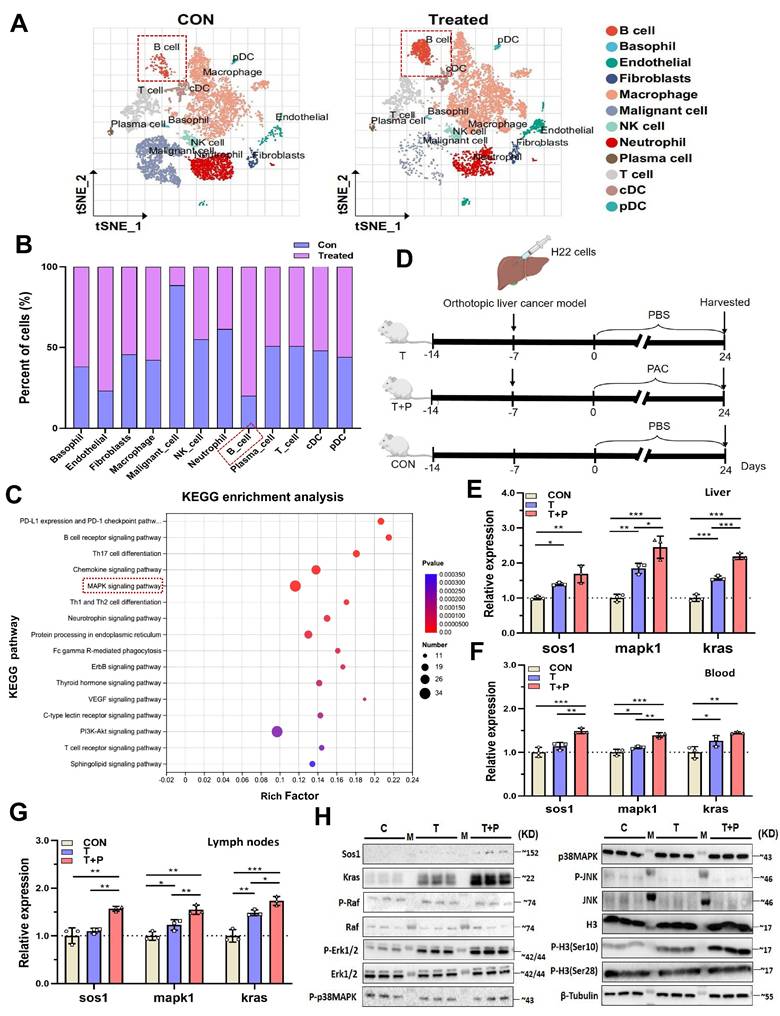 Int J Biol Sci Image