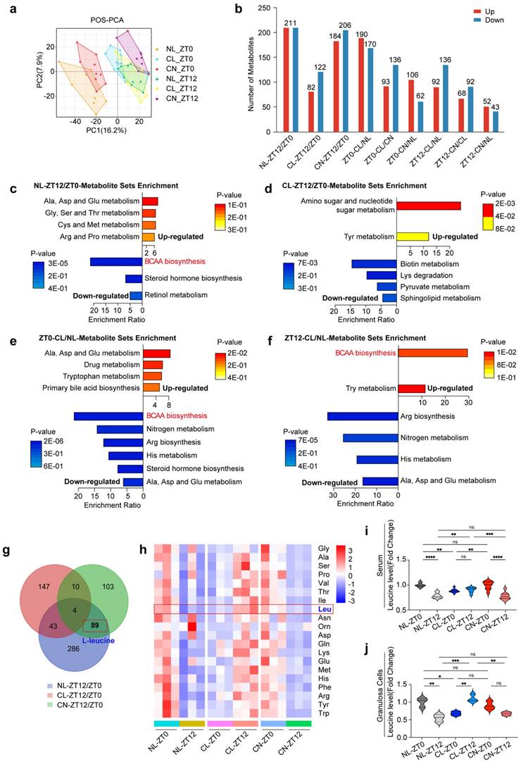 Int J Biol Sci Image