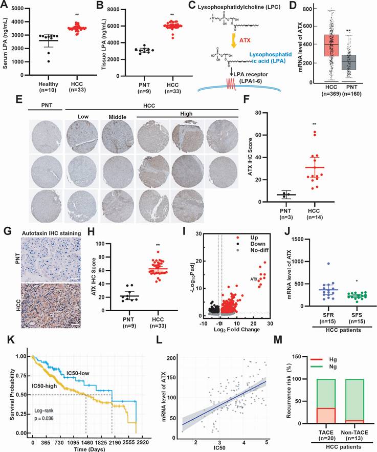 Int J Biol Sci Image