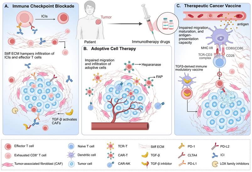 Int J Biol Sci Image