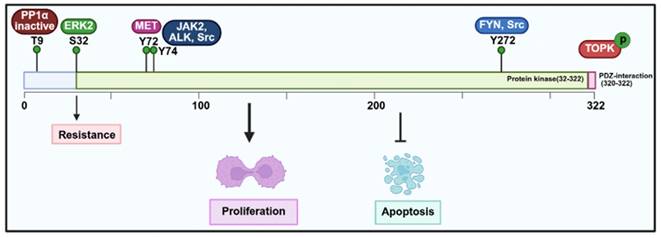 Int J Biol Sci Image