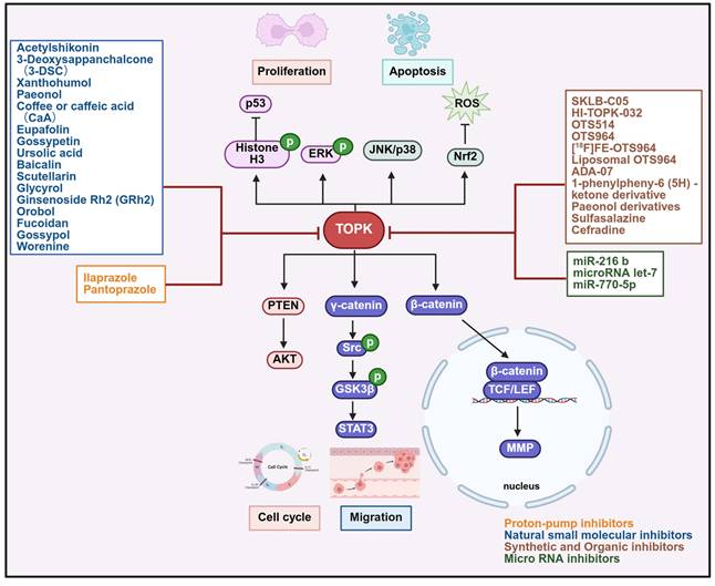 Int J Biol Sci Image
