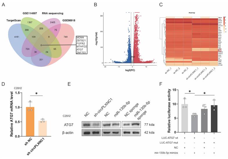 Int J Biol Sci Image