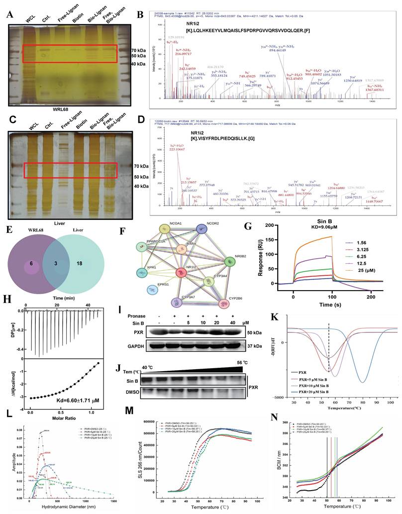 Int J Biol Sci Image