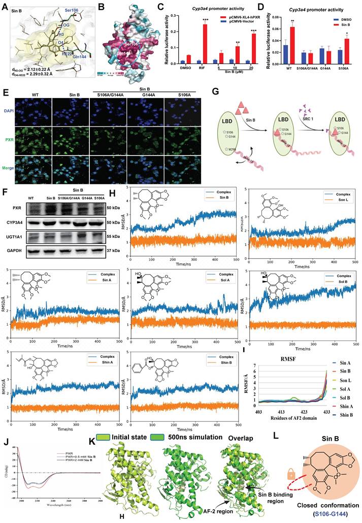 Int J Biol Sci Image