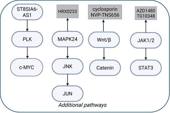 Int J Biol Sci Image