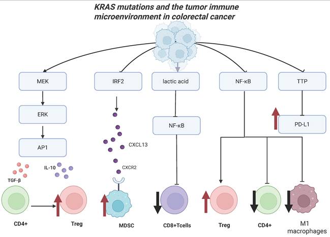 Int J Biol Sci Image