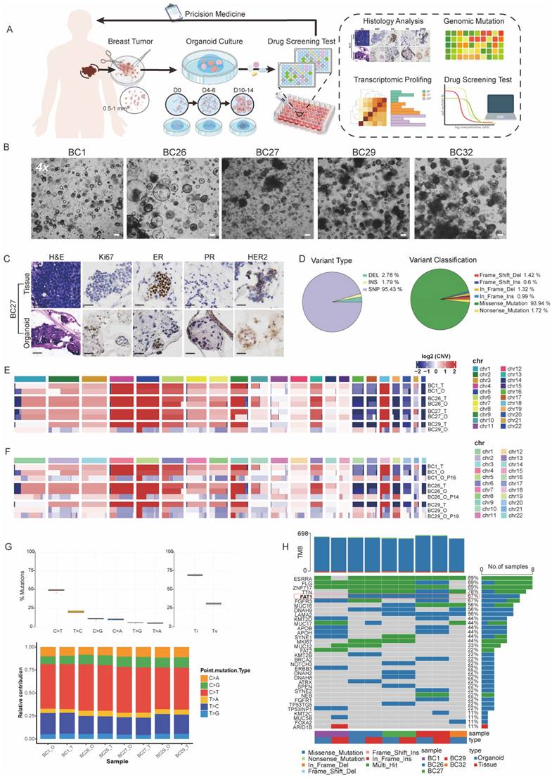 Int J Biol Sci Image